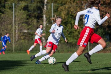 Bild 148 - B-Juniorinnen Hamburger SV - FC Neubrandenburg 04 : Ergebnis: 3:1